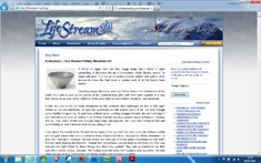 LifeStream Blog